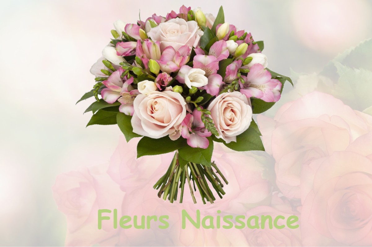 fleurs naissance BIENCOURT-SUR-ORGE